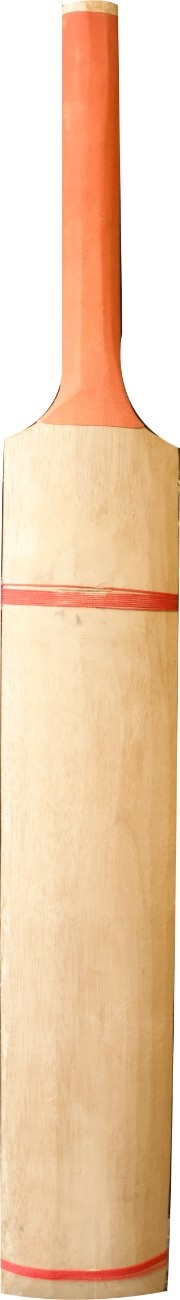 Sri Lankan Cricket Bat - 4