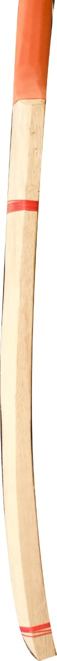 Sri Lankan Cricket Bat - 1